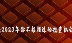 福清虚拟币：2023年你不能错过的投资机会与风险