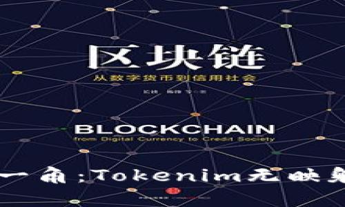 当数字资产的隐秘一角：Tokenim无映射背后的真相与启示