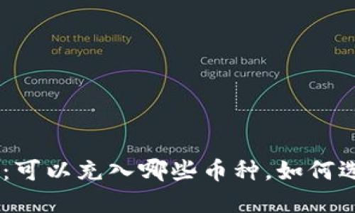 探秘Tokenim：可以充入哪些币种，如何选择最合适的？