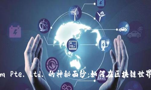 揭开Tokenim Pte. Ltd. 的神秘面纱：如何在区块链世界中获得成功