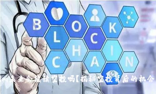 Tokenim未来会继续空投吗？揭秘空投背后的机会与挑战