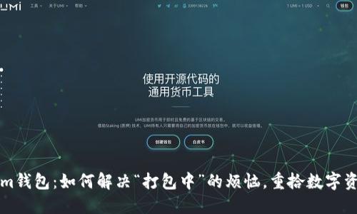 解密Tokenim钱包：如何解决“打包中”的烦恼，重拾数字资产的安全感
