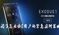 Tokenim 倒闭了怎么办？用户的紧急应对策略与未来