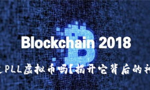 你听说过PLL虚拟币吗？揭开它背后的神秘面纱！
