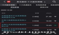 探索Trace虚拟币：未来金融的秘密钥匙