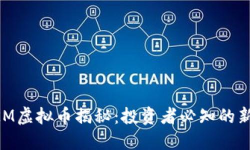 SKM虚拟币揭秘：投资者必知的新星