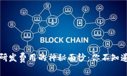 揭开虚拟币研发费用的神秘面纱：你不知道的背后故事