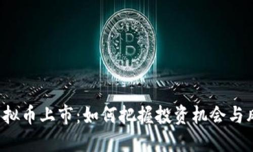 新虚拟币上市：如何把握投资机会与风险？