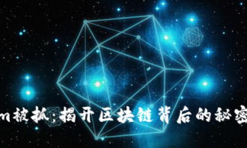 Tokenim被抓：揭开区块链背后的秘密与风险