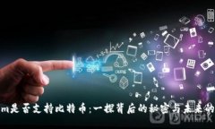 Tokenim是否支持比特币：一探背后的秘密与未来的