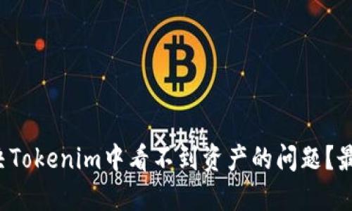 如何解决Tokenim中看不到资产的问题？最全指南！