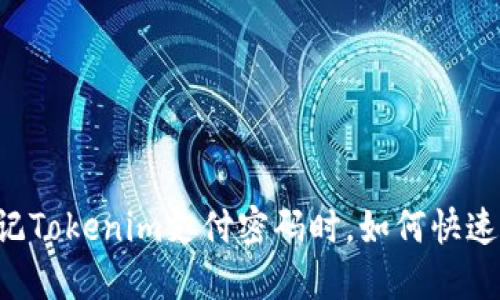 当忘记Tokenim支付密码时，如何快速找回？