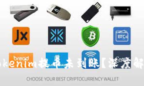 为什么你的Tokenim提币未到账？深度解析与解决方案