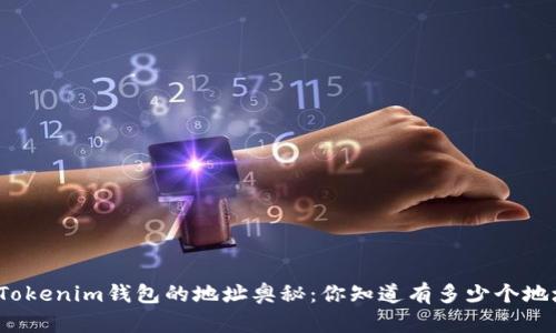 探索Tokenim钱包的地址奥秘：你知道有多少个地址吗？