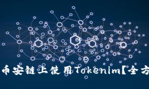 如何在币安链上使用Tokenim？全方位指南