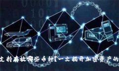 Tokenim支持存放哪些币种？一文揭开加密资产的神