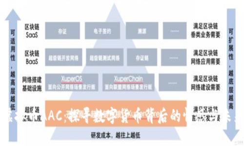 虚拟币AAC：探寻数字货币背后的情感与未来