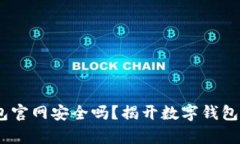 Tokenim钱包官网安全吗？揭开数字钱包背后的真相