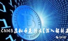揭开神秘面纱：CNMB虚拟币是什么？深入解析未来