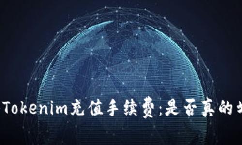 揭秘Tokenim充值手续费：是否真的划算？