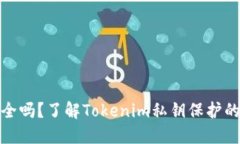 你的数字资产安全吗？了解Tokenim私钥保护的重要
