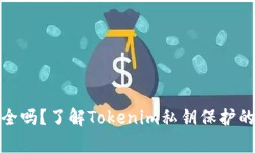 你的数字资产安全吗？了解Tokenim私钥保护的重要性与相似性