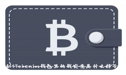 揭秘！Tokenim钱包里的钱究竟是什么样子的？