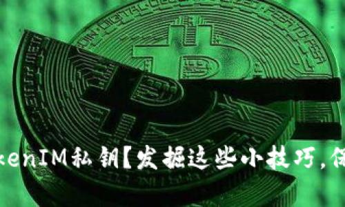 如何恢复你的TokenIM私钥？发掘这些小技巧，保障你的资产安全