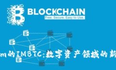 揭开Tokenim的IMBTC：数字资产领域的新机遇与挑战