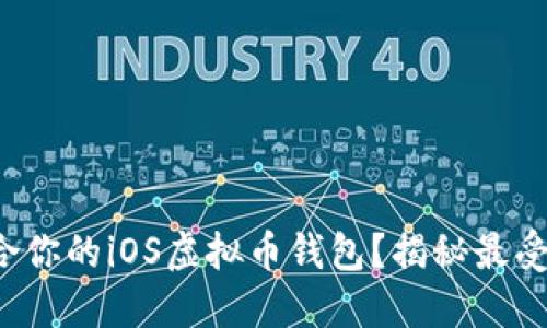 如何选择适合你的iOS虚拟币钱包？揭秘最受欢迎的选择！