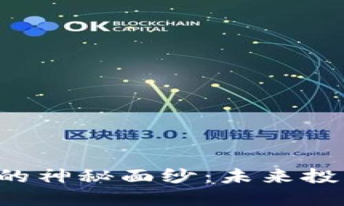 揭开BLF虚拟币的神秘面纱：未来投资的潜力与风险