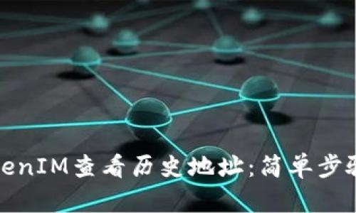 如何使用TokenIM查看历史地址：简单步骤与实用技巧