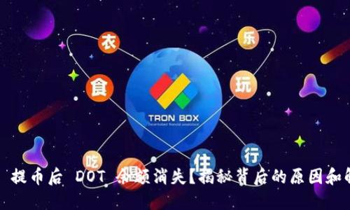 “Tokenim 提币后 DOT 余额消失？揭秘背后的原因和解决方案！”