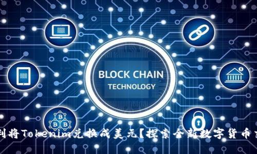 如何顺利将Tokenim兑换成美元？探索全新数字货币交易方式