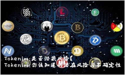 Tokenim：是否潜藏风险？
Tokenim：你该知道的潜在风险与不确定性