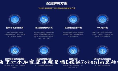 “CNYT会成为下一个加密货币明星吗？揭秘Tokenim里的机会与挑战”