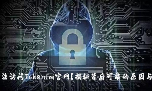 为何你无法访问Tokenim官网？揭秘背后可能的原因与解决方案