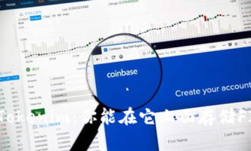 探讨Tokenim：你能在它上面存储FIL吗？