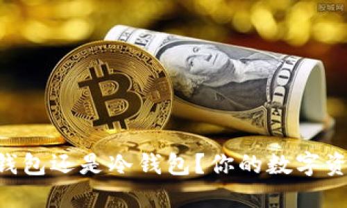 Tokenim钱包：热钱包还是冷钱包？你的数字资产安全怎能大意！