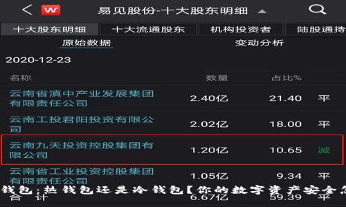 Tokenim钱包：热钱包还是冷钱包？你的数字资产安全怎能大意！