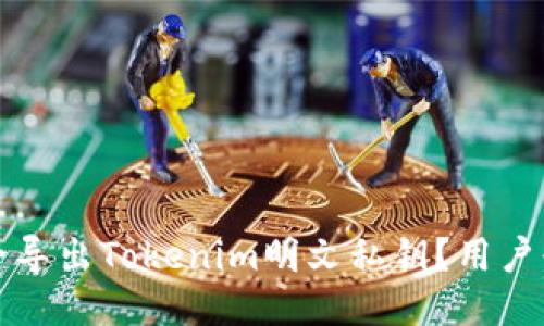 如何安全导出Tokenim明文私钥？用户必读指南