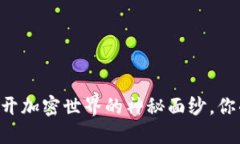 Tokenim评测：揭开加密世界的神秘面纱，你准备好