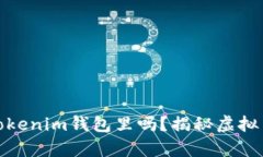 超灵币能放在Tokenim钱包里吗？揭秘虚拟货币存储