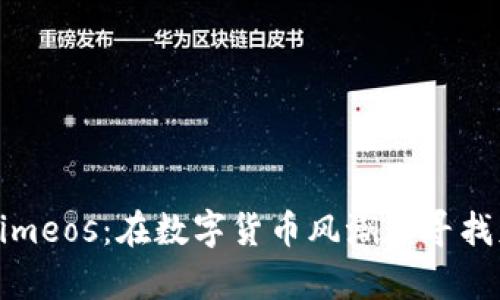 解密Tokenimeos：在数字货币风潮中寻找财富的钥匙