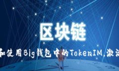 如何有效管理和使用Big钱包中的TokenIM，激活你的