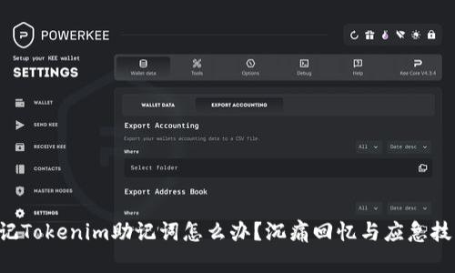 忘记Tokenim助记词怎么办？沉痛回忆与应急技巧！