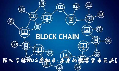 深入了解BDG虚拟币：未来的数字货币巨头？