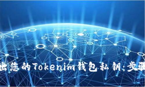 如何安全导出您的Tokenim钱包私钥：步骤与注意事项