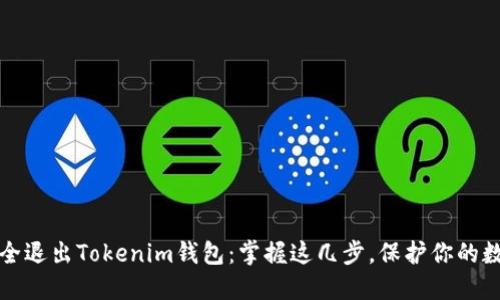 如何安全退出Tokenim钱包：掌握这几步，保护你的数字资产
