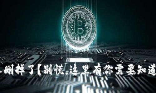 Tokenim被人删掉了？别慌，这里有你需要知道的应对办法！